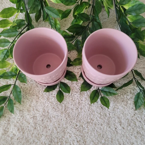 Pink Heart Flower Pots (Set Of 2) - Picture 3 of 6